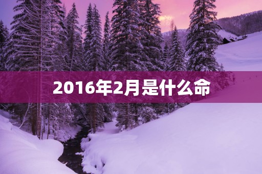 2016年2月是什么命