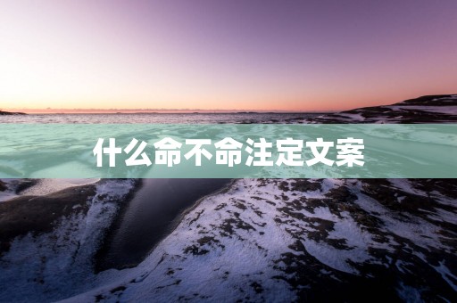 什么命不命注定文案