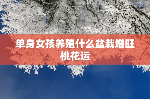 单身女孩养殖什么盆栽增旺桃花运