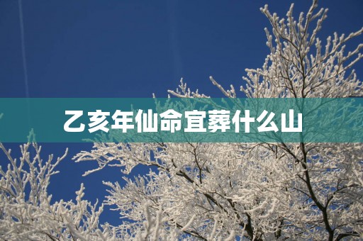 乙亥年仙命宜葬什么山
