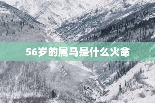 56岁的属马是什么火命
