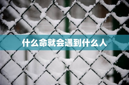 什么命就会遇到什么人