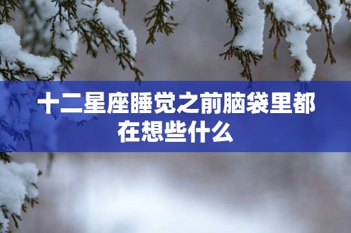 十二星座睡觉之前脑袋里都在想些什么