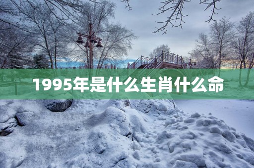 1995年是什么生肖什么命