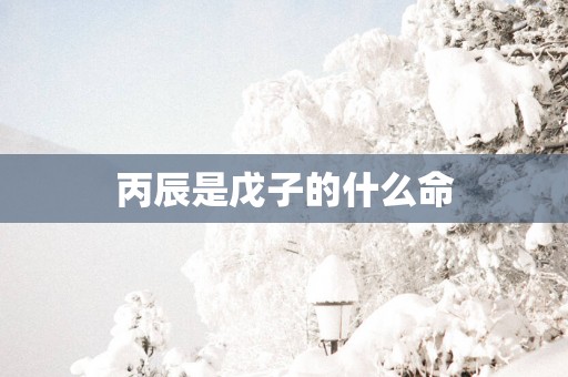 丙辰是戊子的什么命