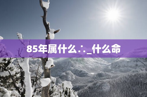 85年属什么∴_什么命