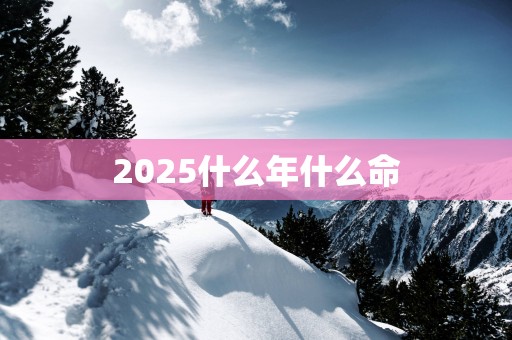 2025什么年什么命