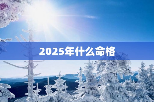 2025年什么命格