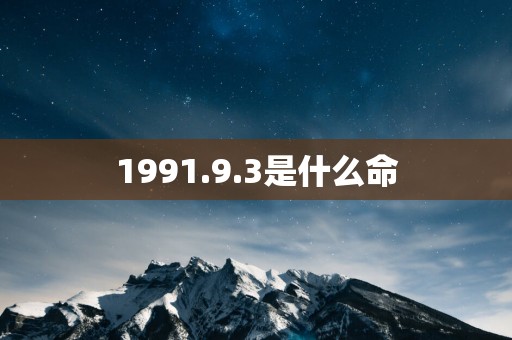 1991.9.3是什么命