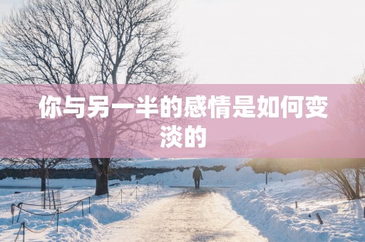 你与另一半的感情是如何变淡的