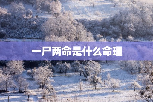 一尸两命是什么命理