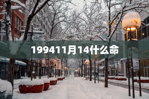 199411月14什么命