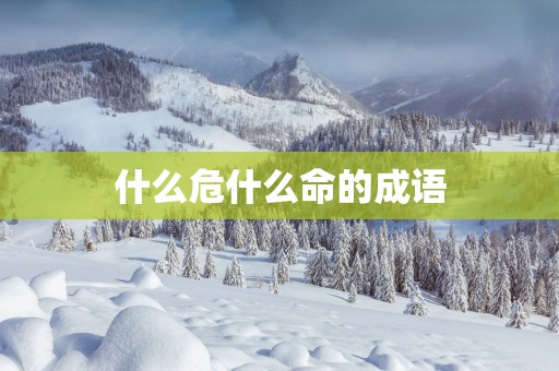 什么危什么命的成语