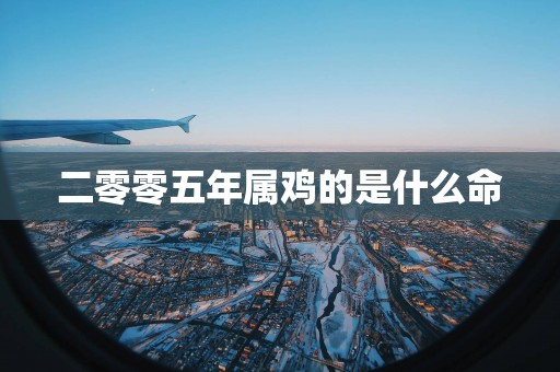二零零五年属鸡的是什么命