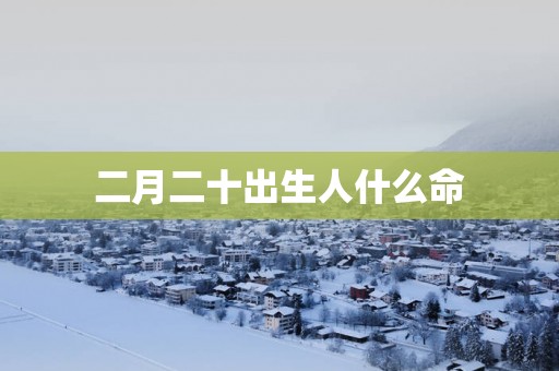 二月二十出生人什么命