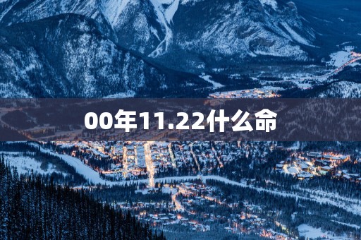 00年11.22什么命