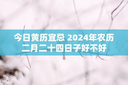 今日黄历宜忌 2025年农历二月二十四日子好不好