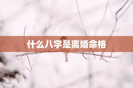 什么八字是离婚命格