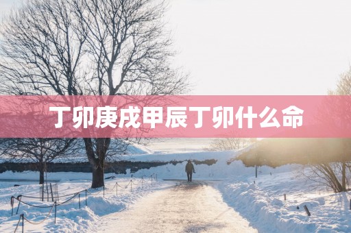 丁卯庚戌甲辰丁卯什么命