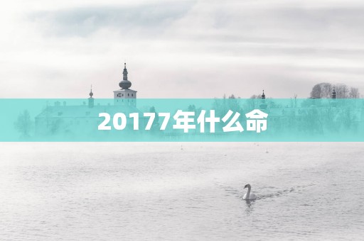 20177年什么命