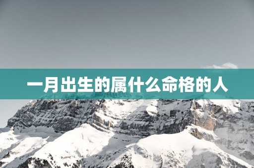 一月出生的属什么命格的人