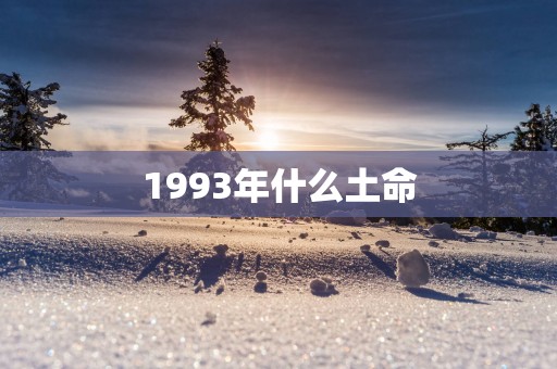1993年什么土命