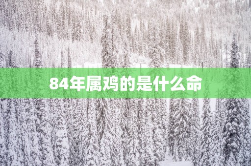 84年属鸡的是什么命
