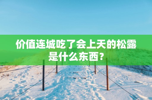 价值连城吃了会上天的松露是什么东西？