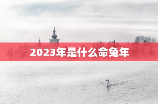 2025年是什么命蛇年