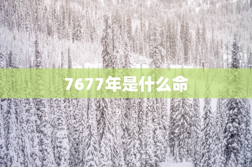 7677年是什么命