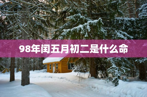 98年闰五月初二是什么命