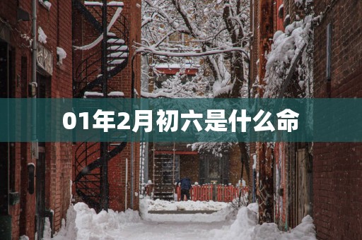 01年2月初六是什么命
