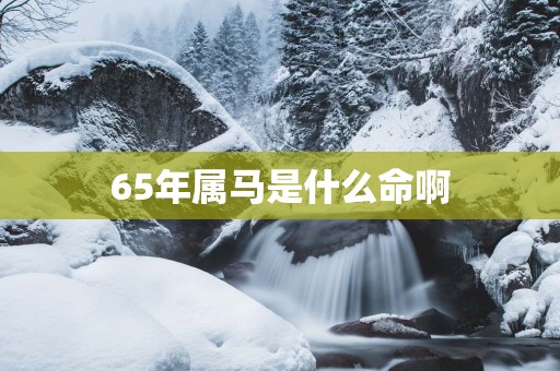 65年属马是什么命啊