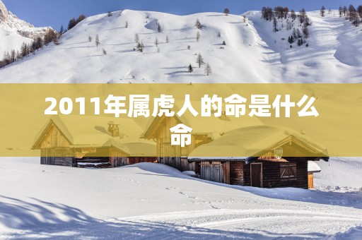 2011年属虎人的命是什么命