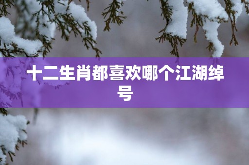 十二生肖都喜欢哪个江湖绰号