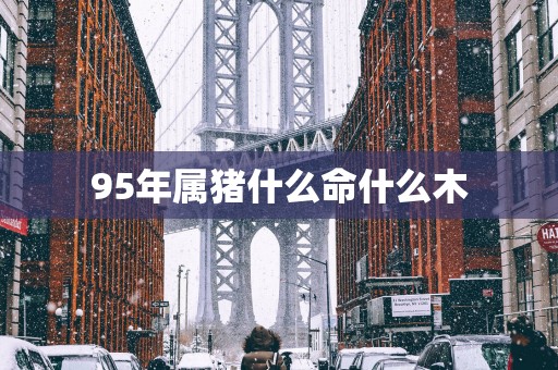 95年属猪什么命什么木