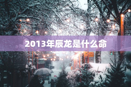 2013年辰龙是什么命