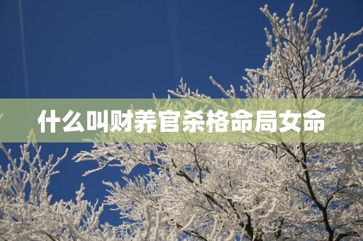 什么叫财养官杀格命局女命