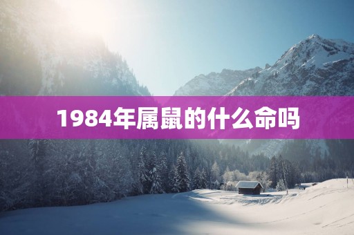 1984年属鼠的什么命吗