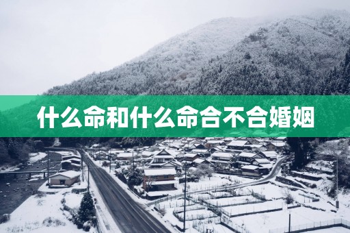 什么命和什么命合不合婚姻