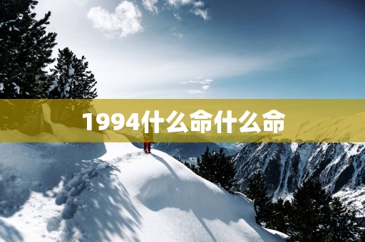 1994什么命什么命