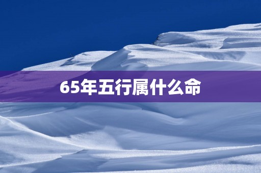 65年五行属什么命