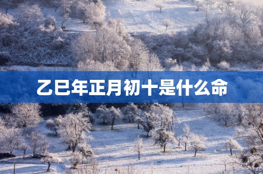 乙巳年正月初十是什么命