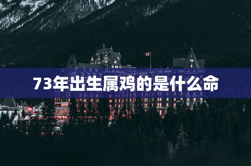 73年出生属鸡的是什么命
