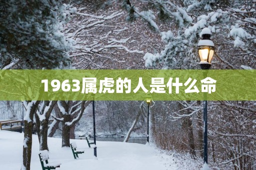 1963属虎的人是什么命