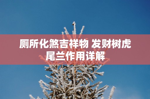 厕所化煞吉祥物 发财树虎尾兰作用详解