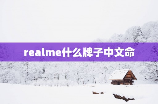 realme什么牌子中文命