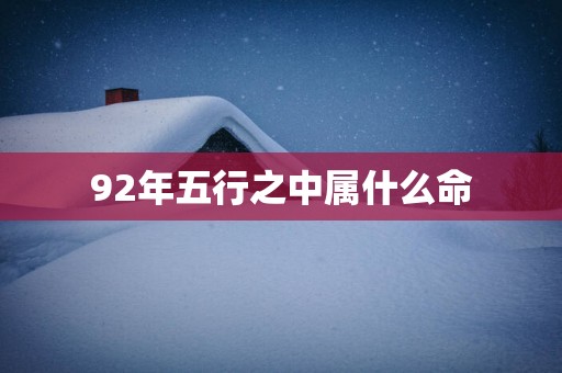 92年五行之中属什么命