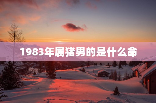 1983年属猪男的是什么命