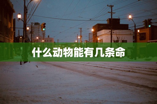 什么动物能有几条命